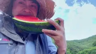 Thương Người Viễn XỨ