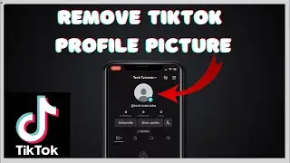 How To Remove Profile Picture On TikTok (2024)