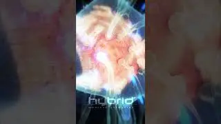 Synaptic transmission animation | neuron signaling animation | neuron function | action potential