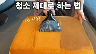 [내돈리뷰] 삶의 질이 올라가는 청소템! 패브릭, 카페트 속 시원하게 청소할 수 있는 아이템 소개