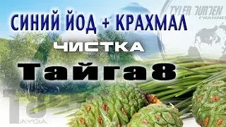 СИНИЙ ЙОД + КРАХМАЛ / ЧИСТКА / ТАЙГА 8