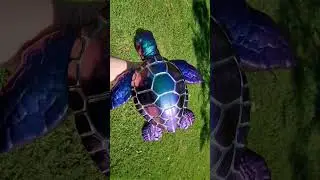 Giant Color Shifting Resin Turtle