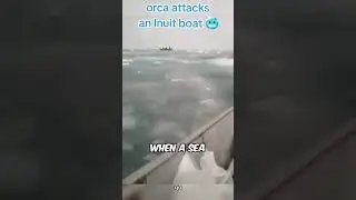 CRAZY CREATURE 😱 #shorts #shark #thalassophobia #creatures #viral