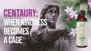 Centaury (Bach Flower Remedy) | When You Lose Yourself in Others
