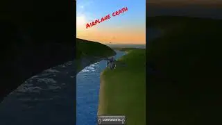A plane crash one of the dangerous things