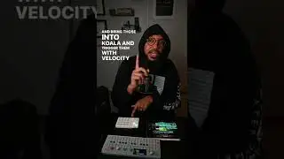 This is the best MIDI controller for Koala Sampler 👌🏾 