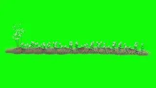 Green Screen flower Grass chroma key footage