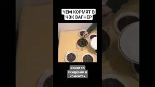 ЧЕМ КОРМЯТ В "ЧВК ВАГНЕР" #юмор
