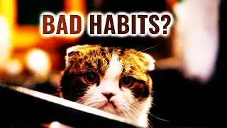 3 Tips to Break a Bad Habit