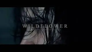 [FREE] ТРИ ДНЯ ДОЖДЯ, SALUKI, COLD CARTI type beat - 