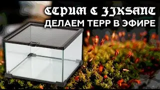 НОВЫЙ ТЕРРАРИУМ ДЛЯ ЗМЕИ И ПРОБИРКА ДЛЯ ФЕИДОЛЕ | СТРИМ С JIKSANT