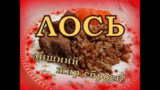 ГОТОВИМ ЛОСЯ/ДОЛГО НО ВКУСНО