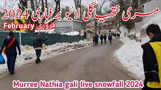 Murree live Snowfall 2024 | Nathia gali snowfall | #murree weather | mall road murree #snowfall