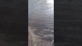 BANJIR ROB SANGAT BESAR SAAT MANCING. BANYAK KENDARAAN MACET