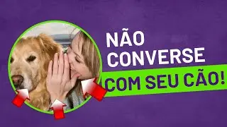 Conversar com seu cão não é uma boa! Fuja dos títulos!