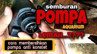 CARA MENGATASI POMPA AQUARIUM - SEMBURANNYA LEMAH...!!!!