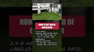 Get Rid of Cocklebur Growing on Your Property! [Weed Management]