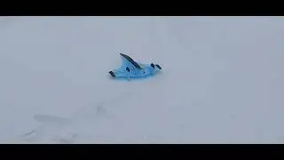Drongo 4s зима 2023
