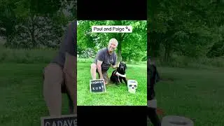 Cadaver dog graduate tribute #workingk9 #goldenretriever #dogswithjobs #dogheros #k9  #sark9