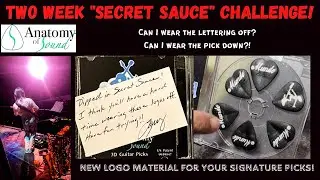 "Unveiling the Anatomy of Sound Guitar Picks: New Logo Secret Sauce Challenge!"