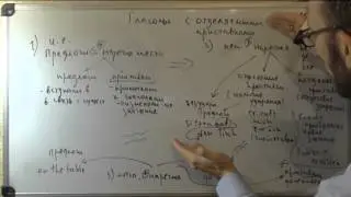 Сравнительное языкознание:  Отделяемые приставки и фразовые глаголы