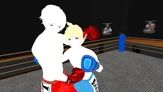 VRchat POV BOXING 058 Opponent's side