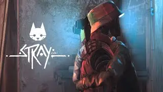 ВОССОЕДИНЕНИЕ СЕМЬИ | Stray #5