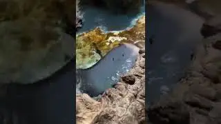 World of Ocean