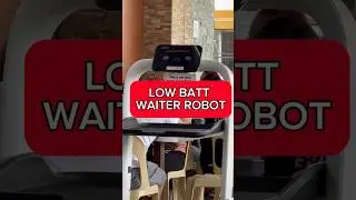 LOW BATT WAITER ROBOT #docedpadama #shorts #food #foodie