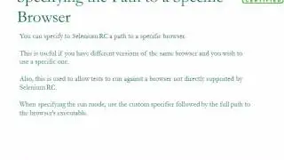 Selenium Server Logging