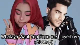Дора, Adam Lambert - Loverboy, Whataya Want from Me (mashup)