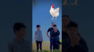 Ya Rabby mustufa tu mujhe Haj par bula 