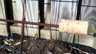 Fantastic TRELLIS: Remesh: Sharp Edges Get Capped Off