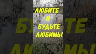#ВЕЧНОЕ ЖЕЛАНИЕ#shorts