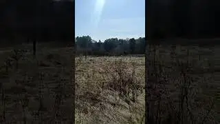 Мичурино