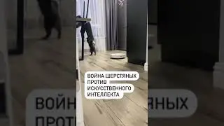 Восстание машин против кошек