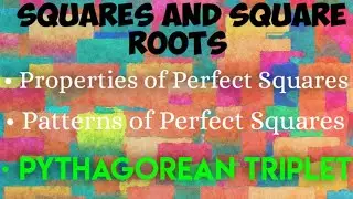 ICSE CLASS 8 MATHS ~ 3. SQUARES AND SQUARE ROOTS (Ex. 3.2)