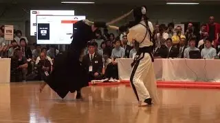 World Kendo Championships Men's Individual  ~ All Ippons ~