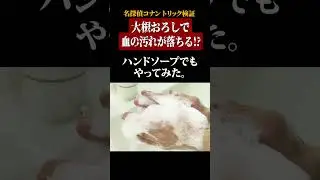 【名探偵コナン検証】大根おろしでガンコな血の汚れは落ちる！？