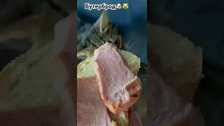 Простоквашино😹🐶👍бутерброд