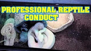 SNAKE YOUTUBE RANT! This is how NOT to act when talking to other keepers. WAIT TELL YOU HEAR THIS...