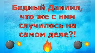 Деревенский дневник очень многодетной мамы Бедный Даниил, что же с ним случилось на самом деле Обзор