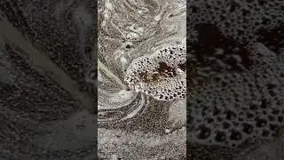ASMR Garapa em câmera lenta