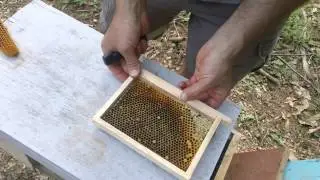 Fat Bee Man - Mini Mating Nuc Setup