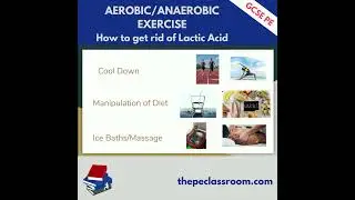 AQA GCSE PE How to get rid of Lactic Acid