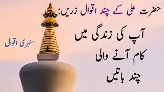 Hazrat Ali  Quotes in Urdu|Zindagi ki aqwal e zareen|urdu quotes|urdu quotes voice