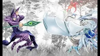 Dark Magic in a White Forest