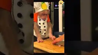 лучок
