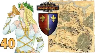 Каркассон #40 (Total War: Warhammer 3)