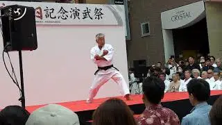 Sesan - Shorinji Ryu Karate - 小林寺流  -  セーサン「十三」型